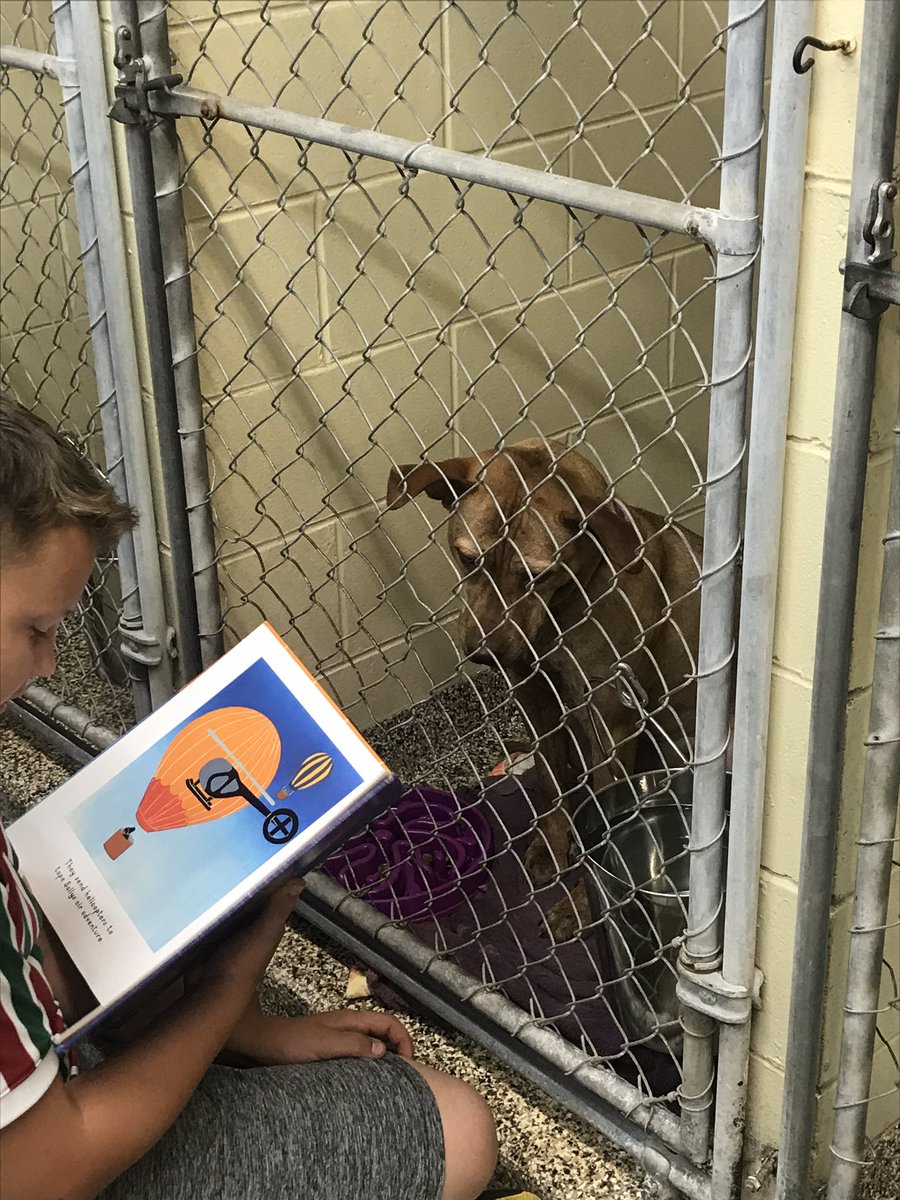 hcpsCollinsNEHS's tweet photo. NEHS delivered donations for the Tampa Humane Society and then participated in Paws for Literacy. We read to the animals. Wonderful way to spend the afternoon and serve our community. https://t.co/P9mGS748gm