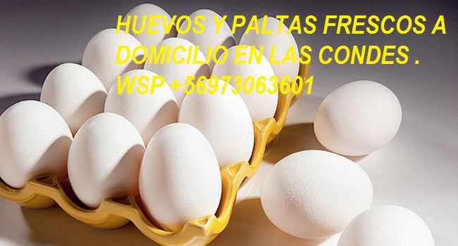 requiero de cambio o permuta de obras de arte por huevos o paltas, o frutos delm pais  tambien de un audi 2004 wsp 56973063601 <a href="/frutosdelpais/">Frutos Del Pais</a> <a href="/Almendras_Chile/">Agrícola LasMellizas</a>  <a href="/PYMIAVICOLA/">PYMI AVICOLA</a> <a href="/AvicolaMatanzas/">Empresa Avícola Matanzas</a> @SuperPolloChile <a href="/SuperPolloDS/">Super Pollo DS</a>   <a href="/SUPERPOLLO4/">SUPER POLLO</a> <a href="/revistapalta/">Revista Palta</a> <a href="/PolloAriztia/">Pollo Ariztía Salas</a> <a href="/ConsejoAgricola/">Consejo Agrícolas</a>