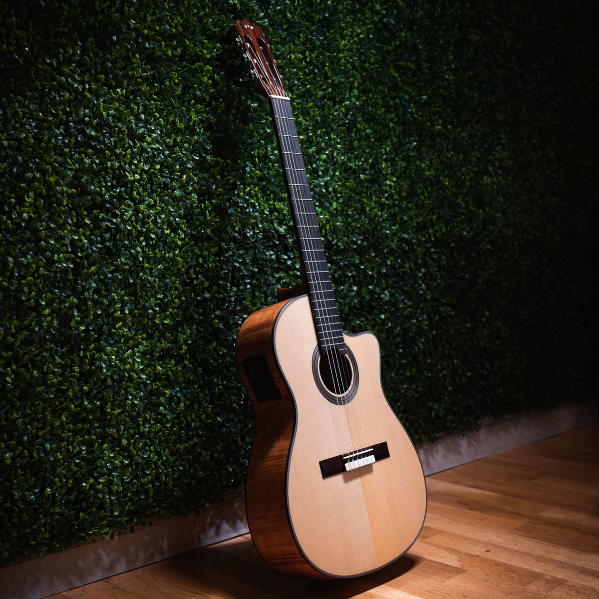 ChicagoMusicEx's tweet image. @CordobaGuitars is all about classicals. Their new Fusion 14 changes the game, and you know what? We want you to have it! Just tag a friend and enter on our website for more ways to WIN! bit.ly/2PnIrdT #chicagomusicexchange #cordoba #fusion14 #giveaway #gearwire