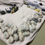 朝起きたら布団の上で謎の儀式を行った形跡があったんだが
