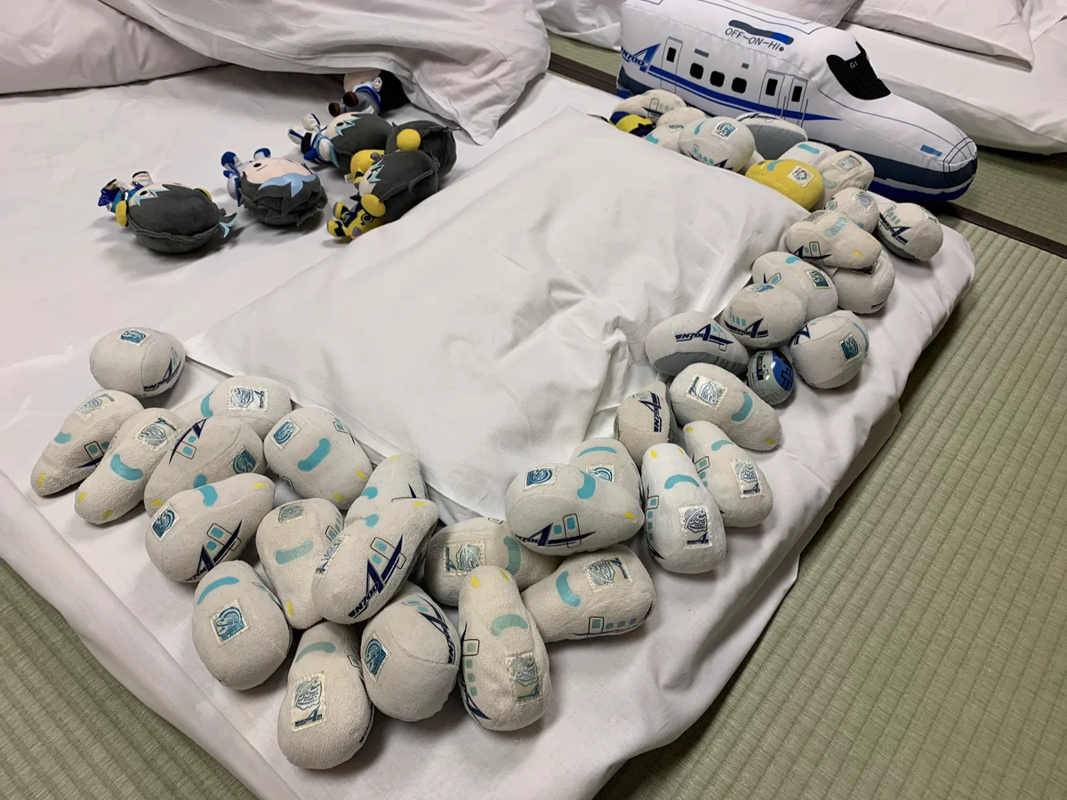 朝起きたら布団の上で謎の儀式を行った形跡があったんだが