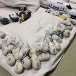 朝起きたら布団の上で謎の儀式を行った形跡があったんだが