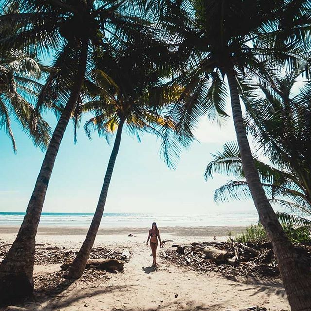 O carnaval acabou! E agora? Onde você queria estar nesse momento? A gente: Playa Hermosa na Costa Rica!

#emalgumlugardomundo #costarica #visitcostarica bit.ly/2TlQ5qd