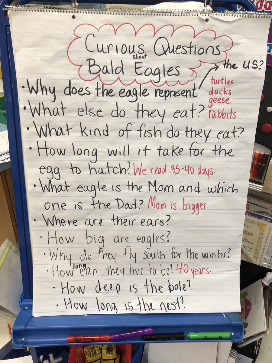 MrsRobertson20's tweet photo. Kindergarten students are observing the Eagle Cam and reading informational books on eagles to answer their curious questions. #curiousclassroom @smokeylit @HastingsWPS https://t.co/H9eToIfSlx