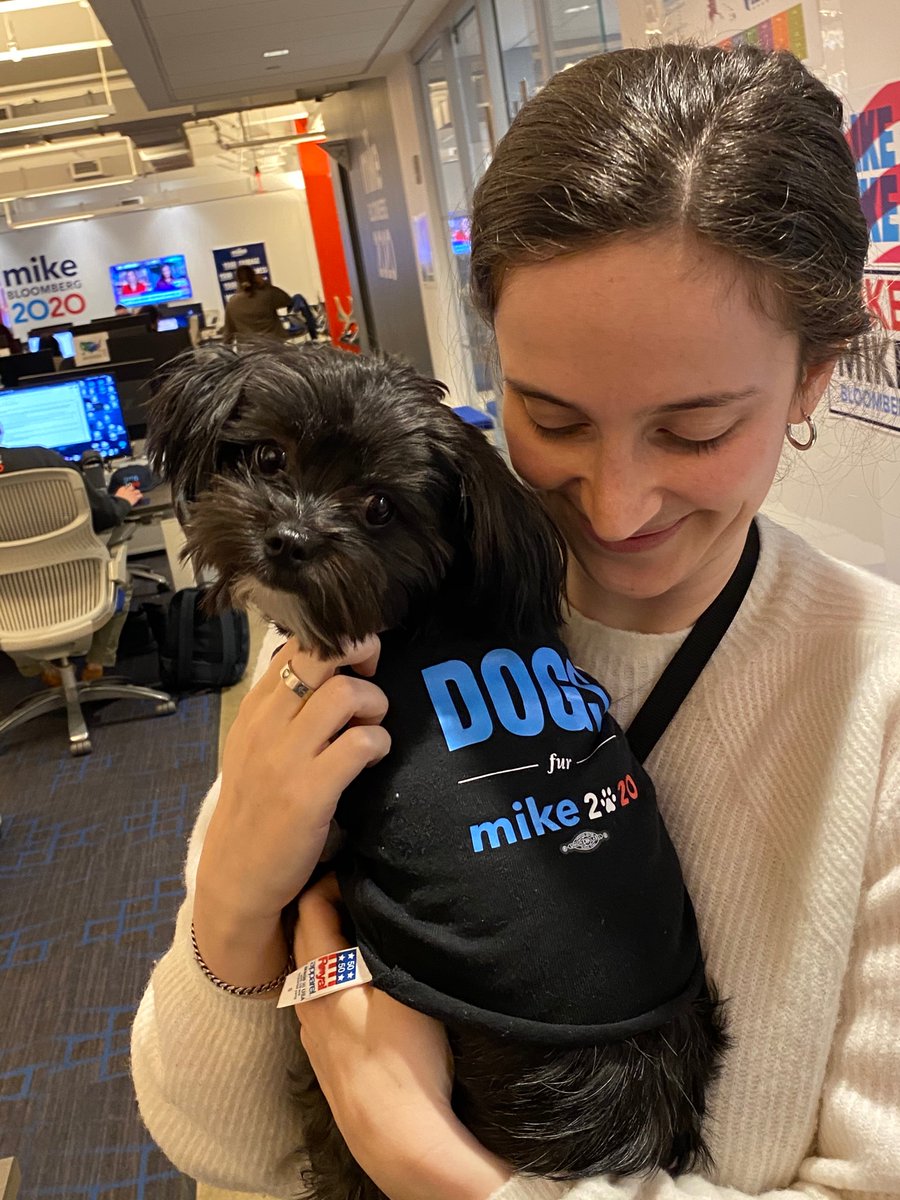 nataliejohnsonm's tweet photo. The most important Super Tuesday strategy we have is upping our #DogsFurMike content, clearly 
#Mike2020 https://t.co/qHRnbdxwRe