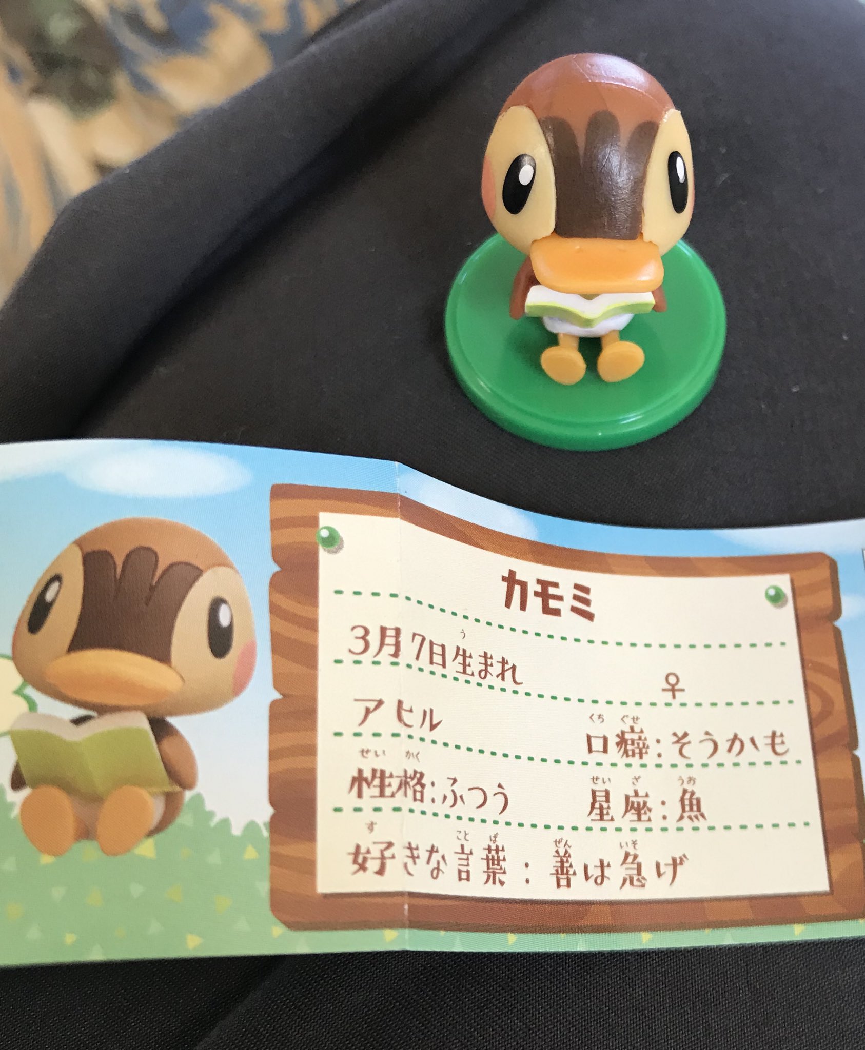 パホパホッパー カモミぃー
