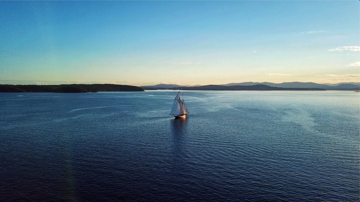 We were blessed in 2019! Take a look at our annual report and audited financial statements at: salts.ca/site/about-us/… 
Join us for our Annual General Meeting!
Date: March 5, 2020 
Time: 7:00pm
Place: Royal Victoria Yacht Club (3475 Ripon Road, Victoria BC)
📷: Taylor McDonell