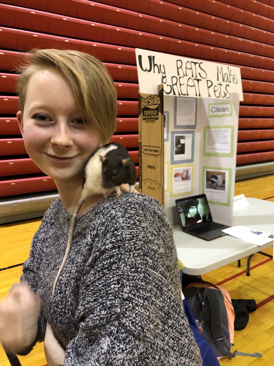 msdwt's tweet photo. Our nations’s economic & social well-being is tied to public education. Today over 700 10th grade students at North Central participated in the IB #PersonalProject. #IBPersonalProject #IBO #PublicSchoolsWeek2020 #PSW20 #PublicSchoolProud https://t.co/f615JI1kdy