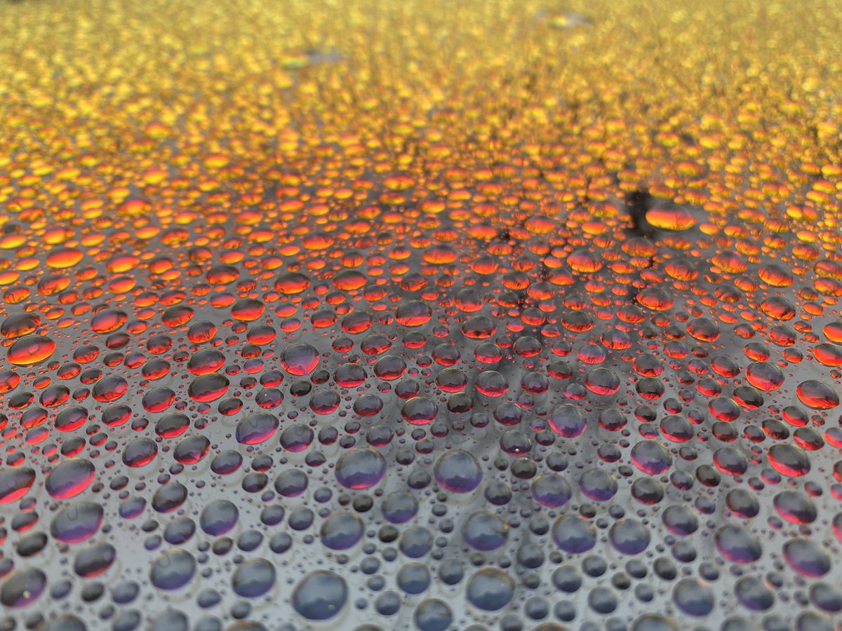 bobp354's tweet image. Ok sometimes just the most interesting and beautiful things just appear before your eyes. This is a totally untouched/unedited photo straight off my iPhone11 Pro. I wonder if anyone can even guess what it is, comment below. 
#waterdropphotography #waterdroplets #appleiphone11pro