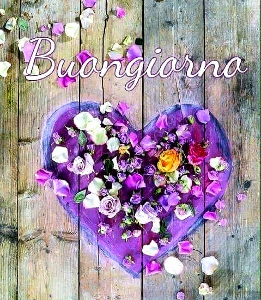 Uzivatel Donatella Fumagalli Na Twitteru Buongiorno Cara Ori E Mi Unisco Senz Altro All Augurio Di Ori E Di Tutti Noi Ad Agostino Di Pronta Guarigione T Co Ntrrdfrdad