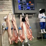【休校の影響はここにも】酪農家もどんどん赤字になる危険な状況