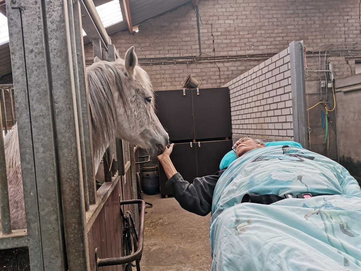 StAmbulancewens's tweet photo. Deze meneer kon woensdag nog afscheid nemen van zijn paard. https://t.co/Y2qd50Uj1z