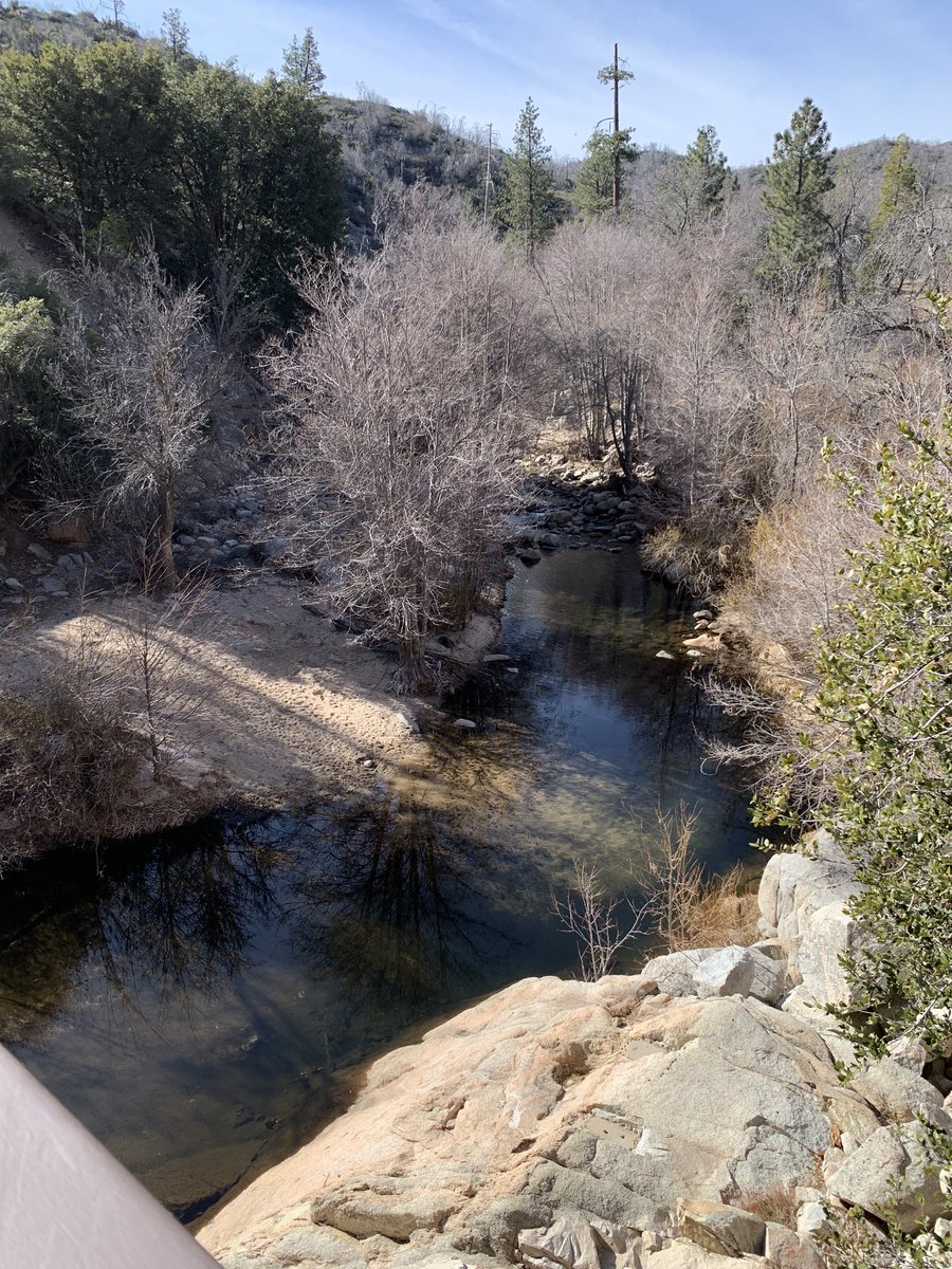 alexisss_908's tweet image. lost my running shoes, but that didn&apos;t stop me 🌿🌼 #chasingviews
