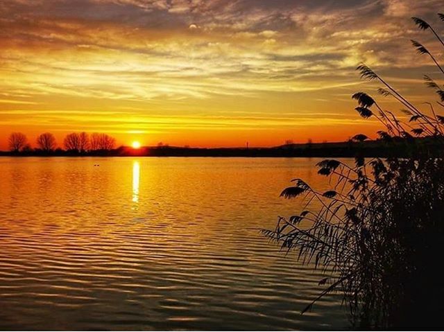 igersnavarra's tweet photo. Regalos de la naturaleza. 
La foto es de @magallonera ¡Feliz finde!

#igersnavarra #quehacerennavarra #navarramente #conocenavarra #sunrise #sunrise_sunset_photogroup #sunrisephotography #naturephotography https://t.co/uAi2VtvjxB https://t.co/UKLCRgPPdb