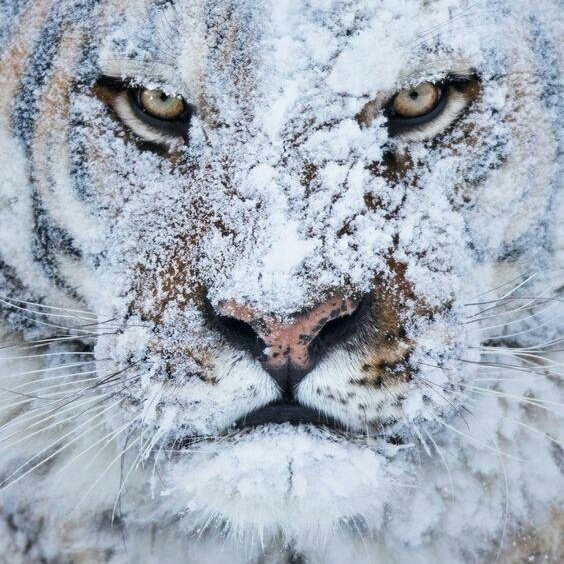 maxime_silvera's tweet photo. #NewProfilePic https://t.co/zM37frbmoY