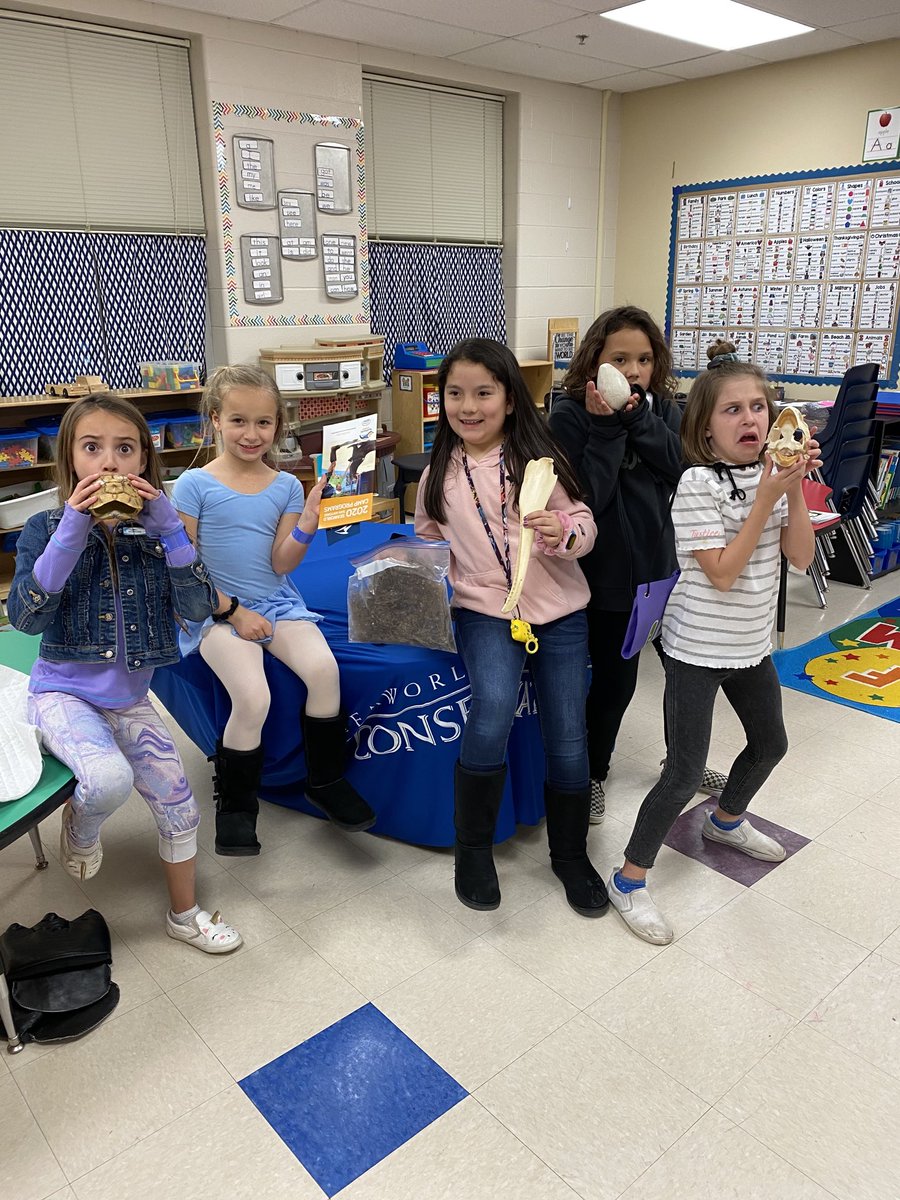 msvalpin's tweet photo. Another great night at Hoffmann. @NISDHoffmann #HoffmannSTEAM https://t.co/2JmAnjhhbR