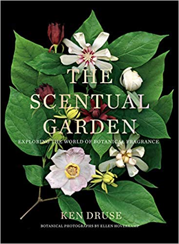 CamillaGHellman's tweet photo. Lovely to see #IsabelBannerman in NYC today speaking at @NYBG to a full house on gardens they have created esp around work at Trematon Castle. Also to learn about her latest book #ScentMagic available on @amazon. Full of her stunning photos. A lovely day. https://t.co/0VrZkMhzMU