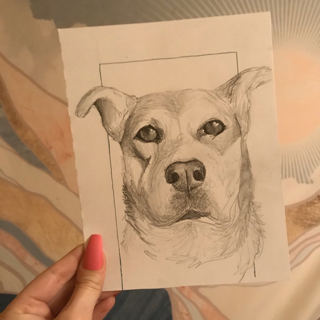 4.5k wowza🥺💕 thank you all for the constant support &amp; allowing me to get better at art every day !! 

giving away a simple pencil pet portrait to say thank you!

to enter: like, rt, &amp; share a picture of your pet!