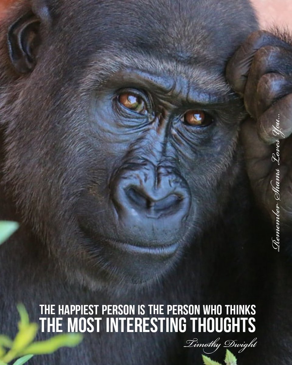 NoorLovesYou's tweet image. The happiest person is the person who thinks the most interesting thoughts. ~ Timothy Dwight

#happy #happy🤗 #happywithin #happiness😊 #hapoiness #happinessquotes #quoteoftheday #interesting #behappy #beinghappy #loveyourself #loveshams🌞 #shamsalfarooqi #shamslovesyou