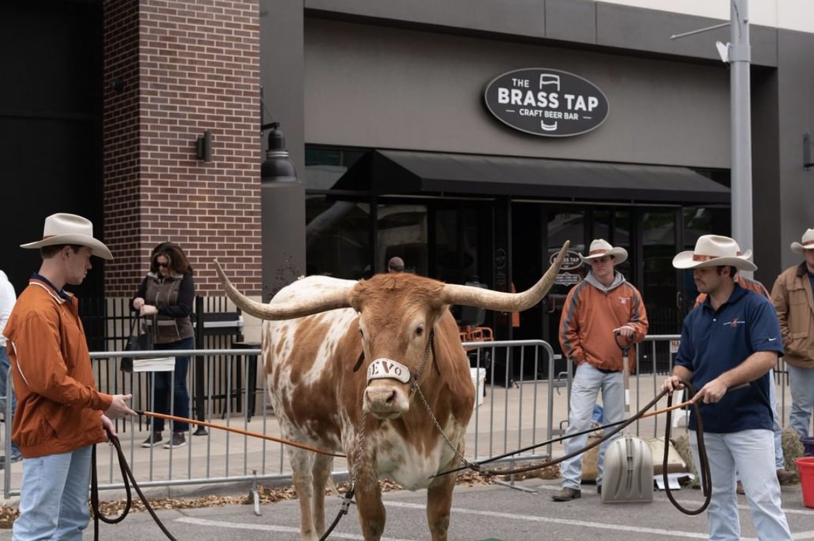 AustinTexasExes's tweet image. Don't miss the opportunity to get your photo taken with BEVO XV himself at our Texas Independence Day Celebration on March 7! Tickets are available here: bitly.com/TID2020
