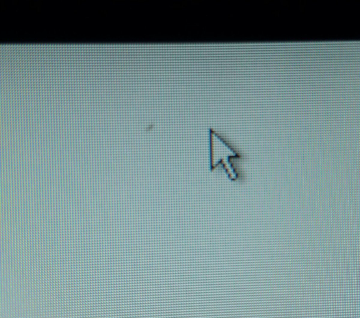 Michael Kowalski tweet media