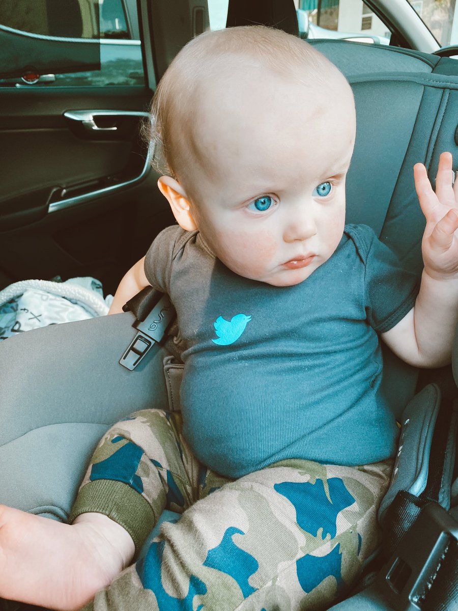 losco's tweet image. Baby bird 💙