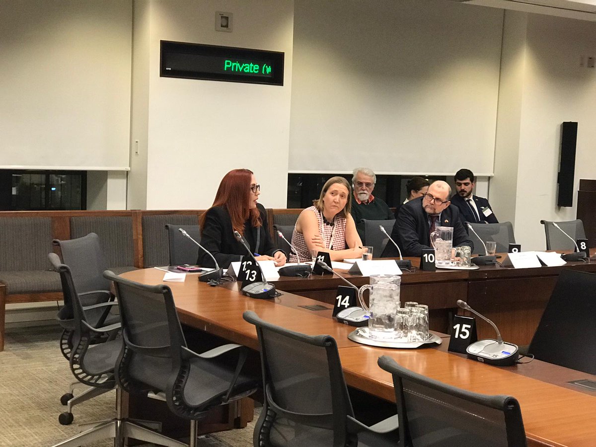 AlessaPolga 🇨🇦🇻🇪 tweet media