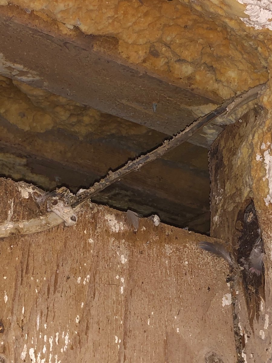 SWOXfire's tweet image. If you think that this type of wiring is safe in a barn, you would benefit from our Barn fire prevention workshop. Friday Feb 28,2020 9am-12pm. Mount Elgin Community Centre