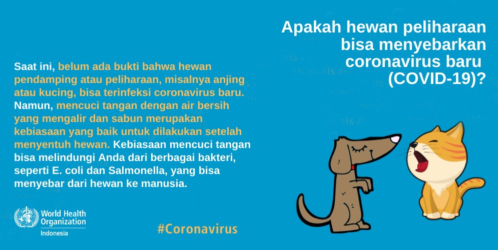 tips mencegah virus corona - jaga kontak dengan hewan