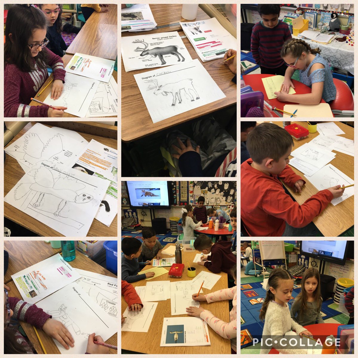DPMrsSteinman's tweet photo. Sketching and labeling our #DenaliNP animals #research #dpsdny https://t.co/y4Uk5zPUYT