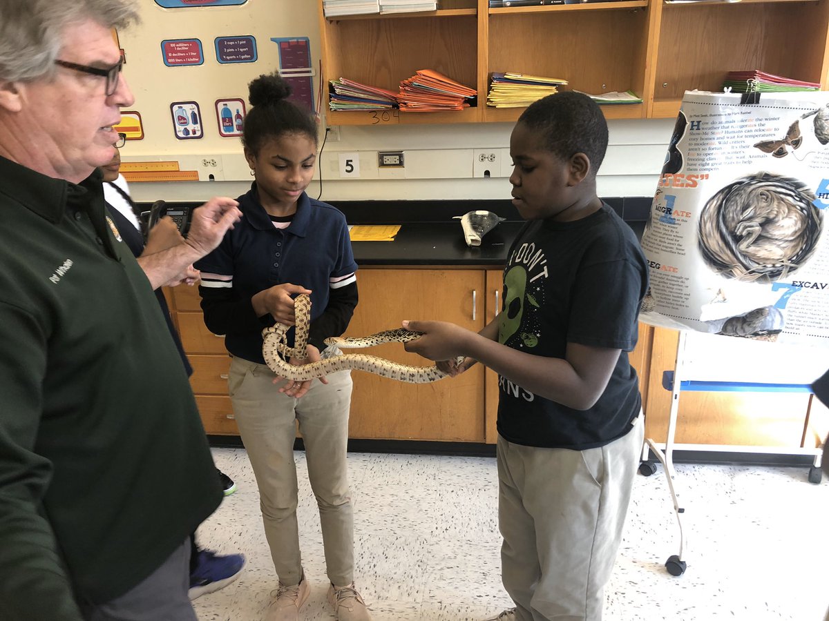 KCPS_King's tweet photo. Mr Pat from the Missouri Department of Conservation visited Mr. Warren’s 5th Grade class yesterday! #liveanimals #handsONlearning #structureandfunction @kcpublicschools https://t.co/sXRPQeirHE