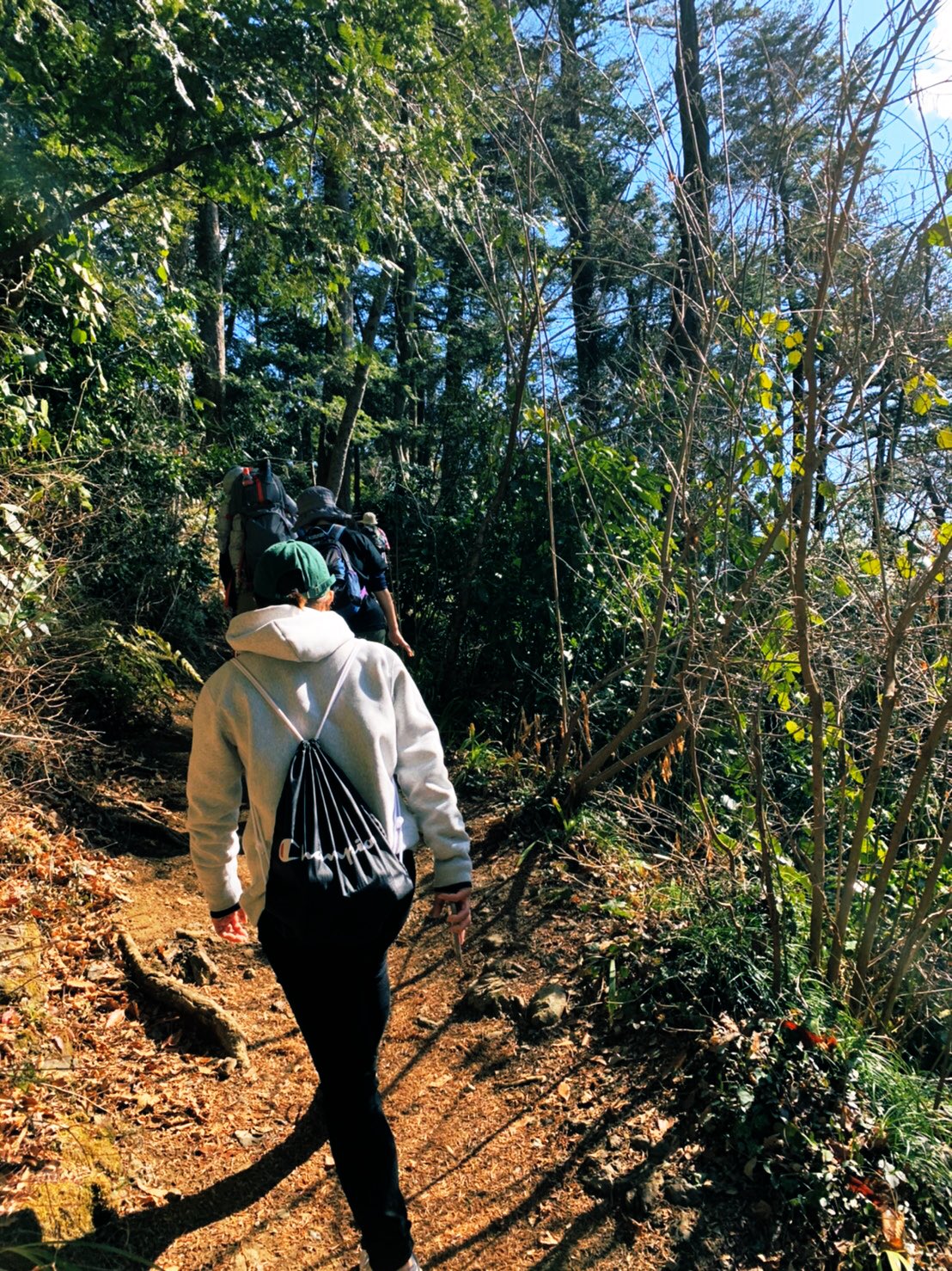 藤巻紗月 高尾山にのぼって花粉に敗北 でも山登りは楽しいね Champion Championjp Cpfu T Co 0y1stqayb5 Twitter