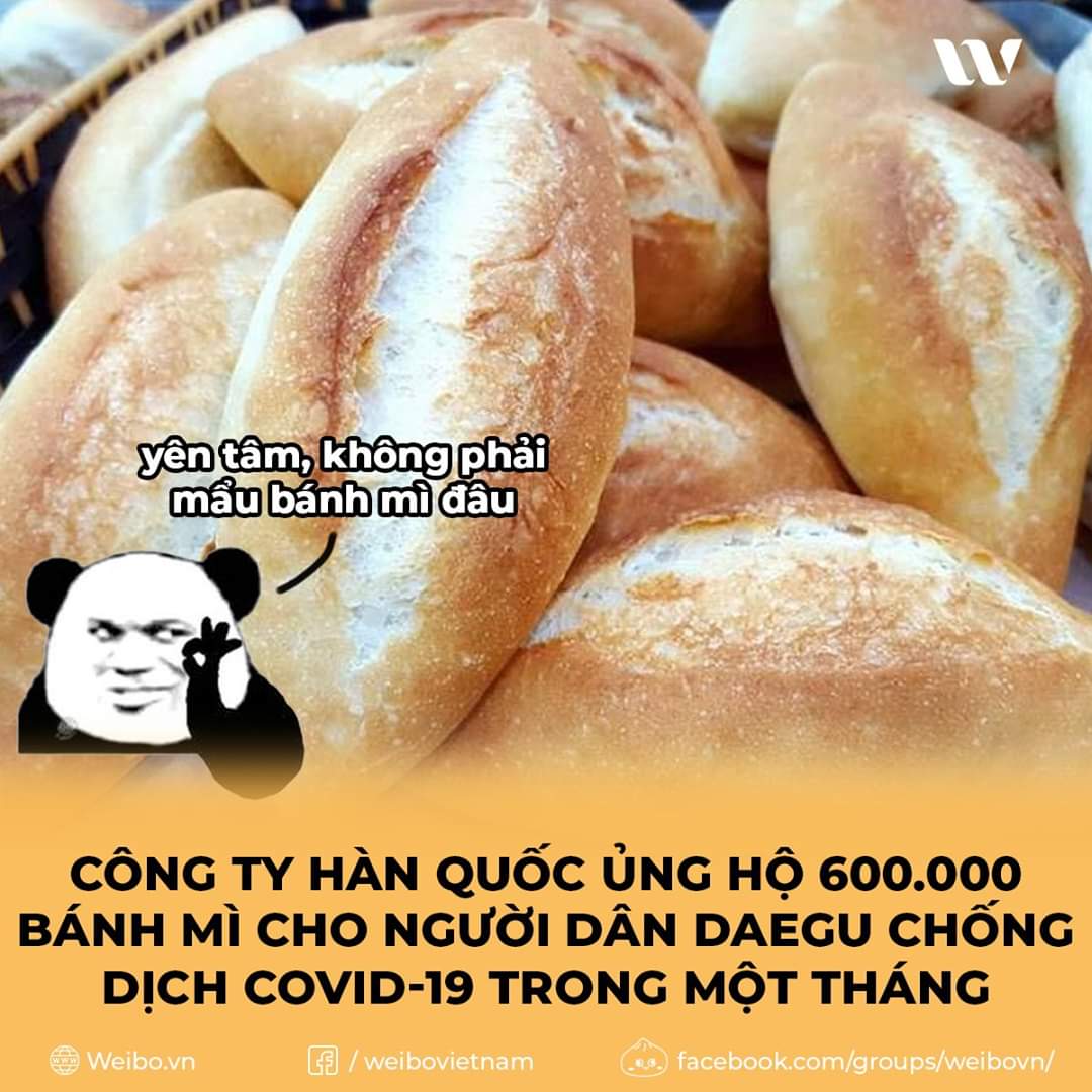 ThyHng22765674's tweet photo. Như này thì chếttt
Toang mạnh m.n ưiiii 
Chấm cũng được nhưng nhớ kèm hashtag 
#20Kr_YTN_ApologizetoVN 
Chẳng biết có bị đổi hashtag không ??? 
Nhớ retweet lại nha https://t.co/afl0kGs59j