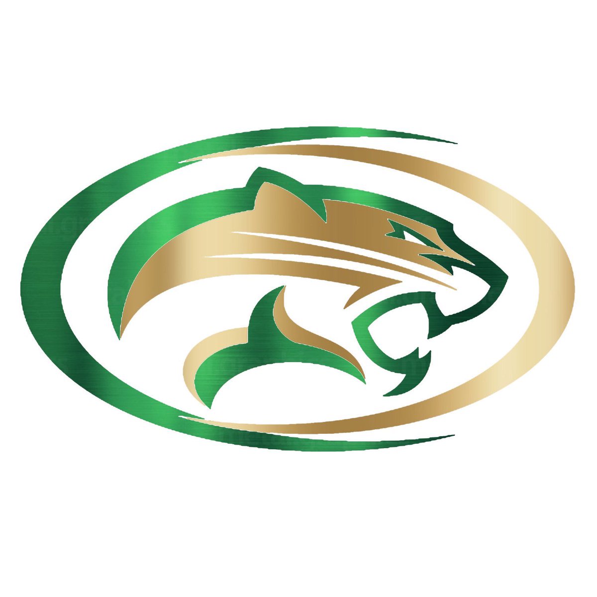 Bigg_jayy1's tweet photo. Extremely blessed and honored to receive my 3rd offer from papago pumas junior college @DCDavis17 https://t.co/FBsyR0EfeC