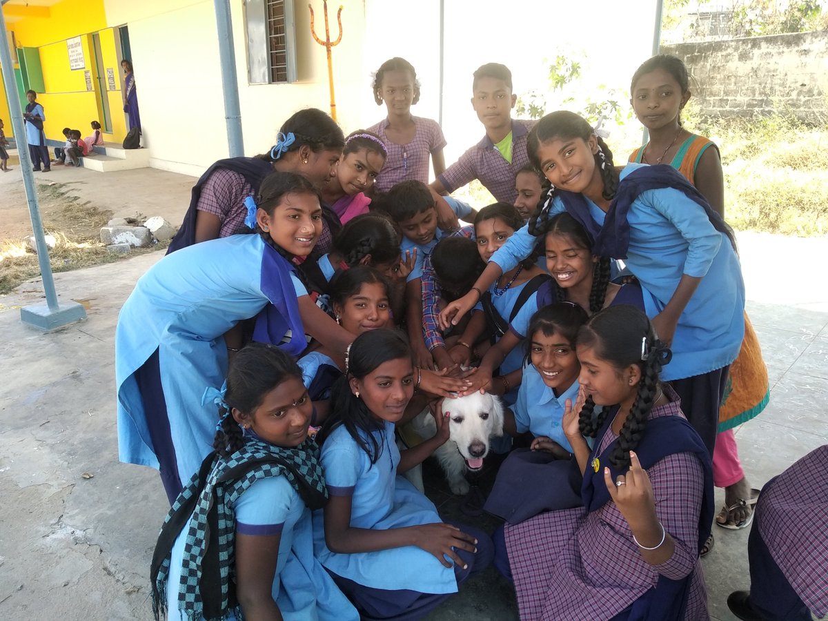AkshayaPatra's tweet photo. Volunteers from @LifeAtHGS conducted a session at Government Higher Primary School (GHPS), Garvebavi Palya, Bengaluru to create awareness about dog behavior and handling of stray dog bites.
Kids enjoyed & happily welcomed a four-legged friend into their school.
#Volunteering https://t.co/YQklFWtcgW