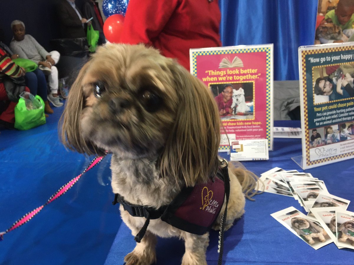 Gary D Cecil tweet media