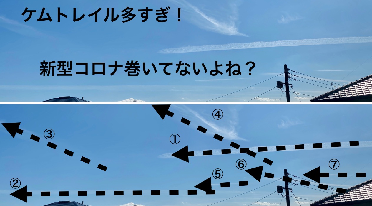 コレクター Colrector Twitter