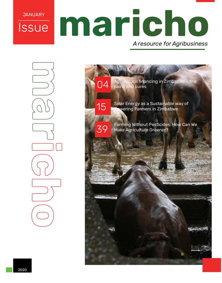 MarichoMedia's tweet photo. @EcologyAgro 
Download #Maricho 
@batanaimatsika-crocodile farming
@ShadreckC-Agric financing
@Rusere_Ronald-soya bean mgt
@WendyMadzura-growing small grain cereals
@Makera_Cattle-dip tanks
@basera_john @Connmwanawashe

https://t.co/3RFXfViklb https://t.co/AXCKu7t6N4