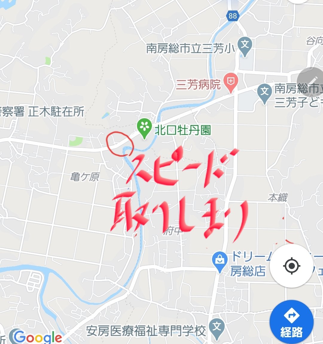 ねずみ捕り Twitter Search