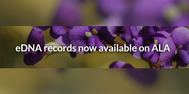 EnviroDNA (@enviro_dna) on Twitter photo The Atlas of Living Australia now includes the ability to add #eDNA records! <a href="/atlaslivingaust/">Atlas of Living Aust</a> is an awesome resource for #citizenscientists & environmental professionals to collaborate & share data 🧬🧪
#biodiversity #metabarcoding <a href="/CitSciOZ/">Australian Citizen Science Association</a> <a href="/CitSciOz_VIC/">Citizen Science Victoria</a>
tinyurl.com/wbsh9xd The Atlas of Living Australia now includes the ability to add #eDNA records! <a href="/atlaslivingaust/">Atlas of Living Aust</a> is an awesome resource for #citizenscientists & environmental professionals to collaborate & share data 🧬🧪
#biodiversity #metabarcoding <a href="/CitSciOZ/">Australian Citizen Science Association</a> <a href="/CitSciOz_VIC/">Citizen Science Victoria</a>
tinyurl.com/wbsh9xd