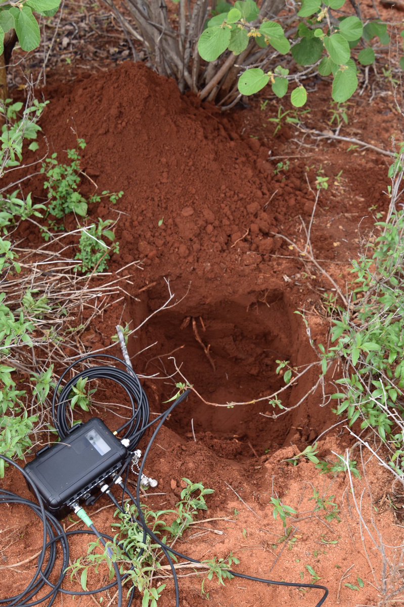 SamSeccombe's tweet image. #InstantDetect2 is #Tech4Wildlife built by conservationists for conservationists at ZSL. #ID2 uses #Iridium satellite connectivity and LoRa to connect cameras and sensors. Here are the first prototypes of the system being field tested in Kenya. Learn more @WildLabs
