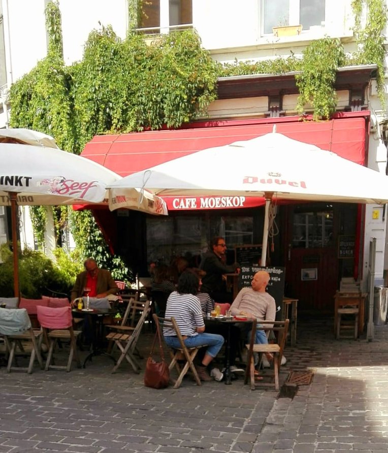 #TOCCALMALTO ReHop is a 5° hybrid beer, inbetween a classic European Ale and American #PaleAle with a hint of grapefruit and an elegant herbal after taste. Taste it for example at #CafeMoeskop in #Antwerp 😋 #craftbeer #beeroclock #zythologie #ambachtelijkbier #Antwerpen #bier