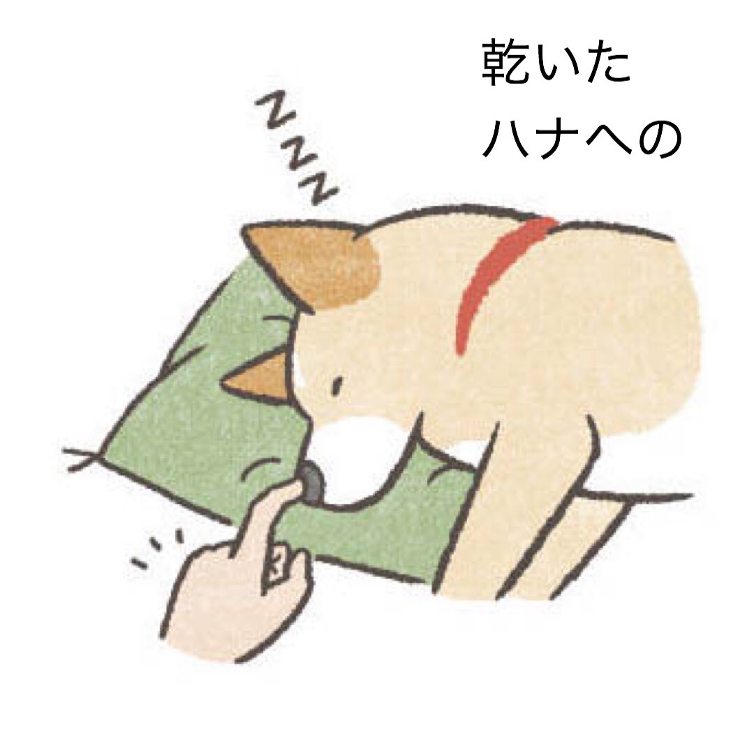 虹有社 こうゆうしゃ 親切のつもり その 1巻p28 より 犬 くにのいあいこ 庭のざぶとん犬 犬あるある イラスト 犬まんが 和犬 犬好き 犬のいる暮らし 犬のいる生活 犬との暮らし 柴系ミックス 柴系雑種 柴犬 虹有社 こうゆうしゃ 親切のつもり その 1巻p28 より 犬 くにのいあいこ 庭のざぶとん犬 犬あるある イラスト 犬まんが 和犬 犬好き 犬のいる暮らし 犬のいる生活 犬との暮らし 柴系ミックス 柴系雑種 柴犬