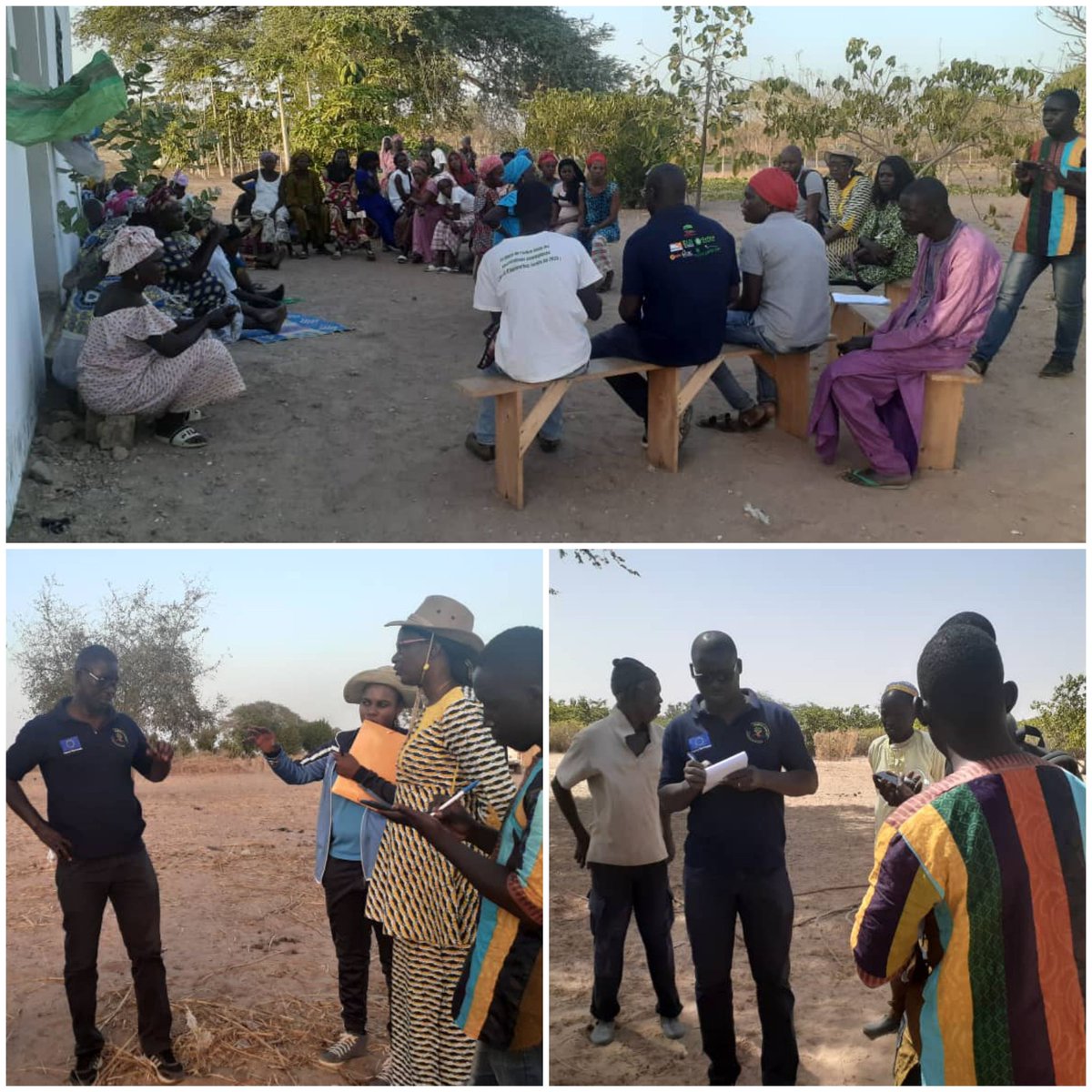 suechomba's tweet photo. Team @RegreenAfrica in Senegal currently discussing with #farmers suitable methods for #landrestoration & how to overcome policy barriers around #treetenure led by @WorldVisionSN @ICRAF @ISRA. Boots on the ground @GPFLRtweets @EU_Commission @DecisionSHARED @susanonyango https://t.co/BHQyJ0daJo