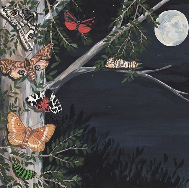 I haven’t shared any painting recently, as I’ve been a bit overwhelmed by wholesale orders, but this is a painting I recently competed for a double page spread of a book. All the moths in the moonlight! I’m half contemplating the next #100dayproject, but… ift.tt/32AwmHJ