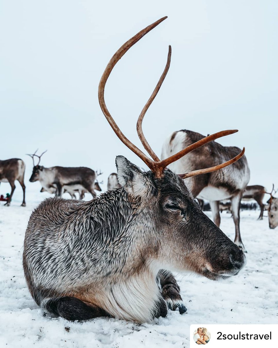 Tromso Outdoor tweet media
