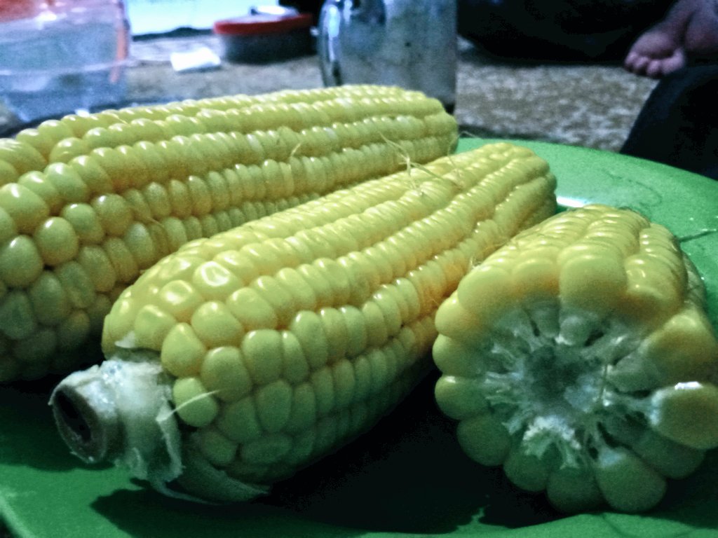 Hujan-hujan makannya jagung manis 
Sayang-sayang ternyata hanya dikasih janji manis 
😎😎😎

<a href="/zulfan_panjoel/">zulfan_panjoel</a> <a href="/ketarketir_/">Bo gel</a> @erzedddd @Rifky_mozAA <a href="/Zai_Ahmadd/">Zai Ahmad</a> @syamxn <a href="/Vemboaja/">VEMBO</a> <a href="/andriawan_ferii/">Feri andriawan</a>