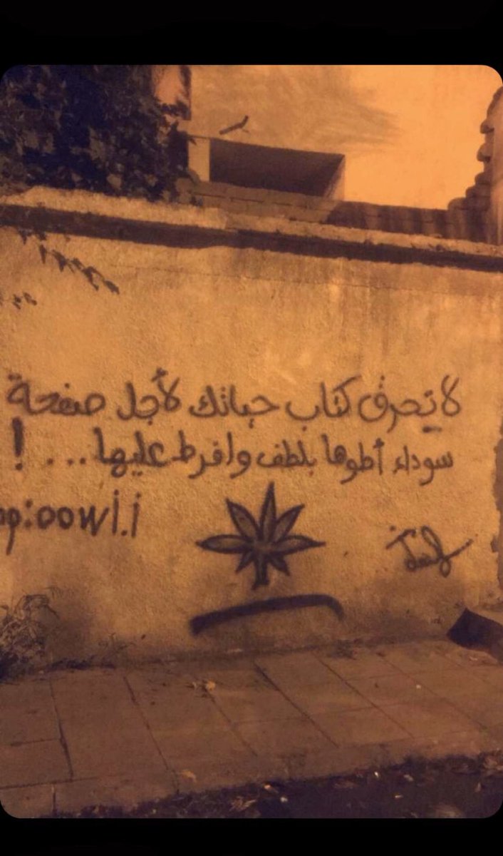 saemon124's tweet image. 