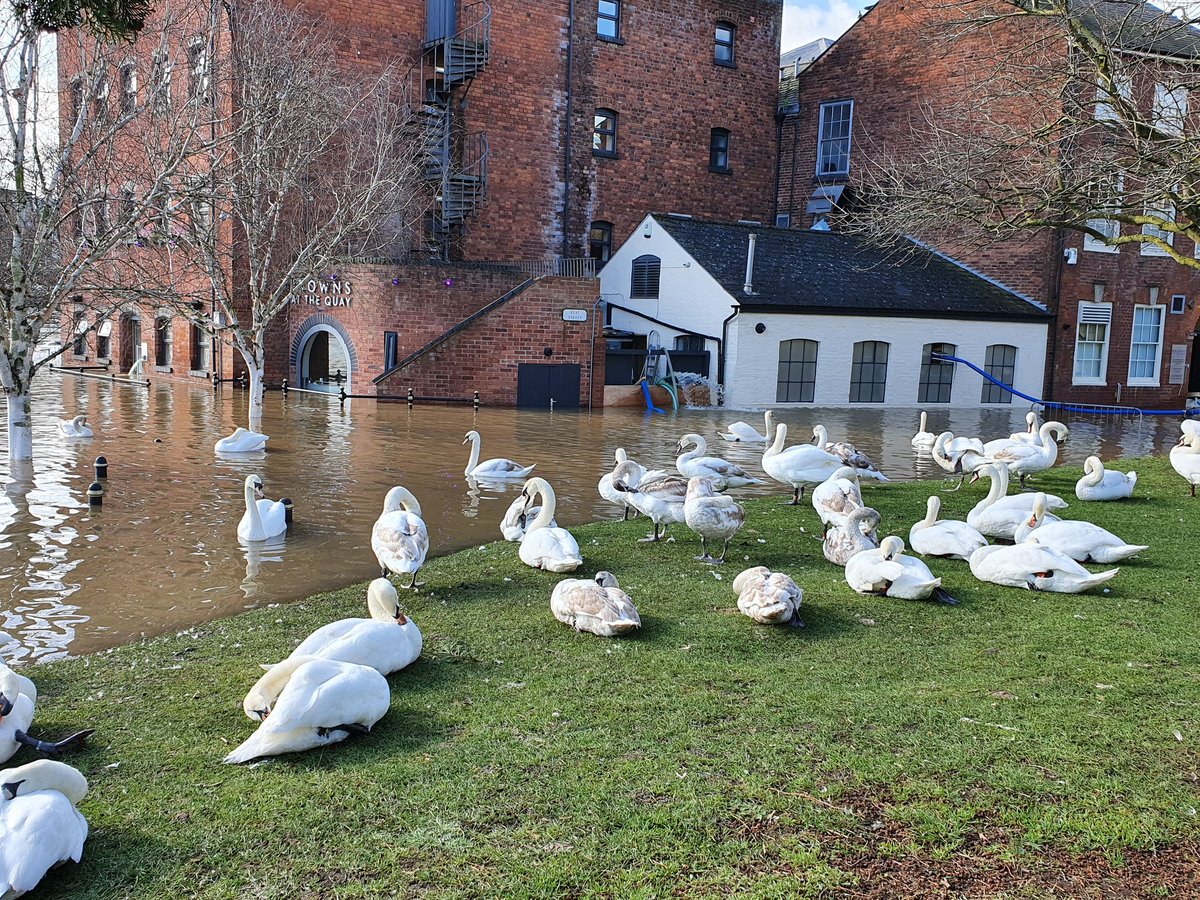 Millbrook4U's tweet photo. The view outside my classroom this week... it looked beautiful but the volume of water has been devastating. My thoughts are with anyone affected by the floods 💙
#Floods #flood #Worcester #howcollege #WorcestershireHour https://t.co/oQheJouNSr