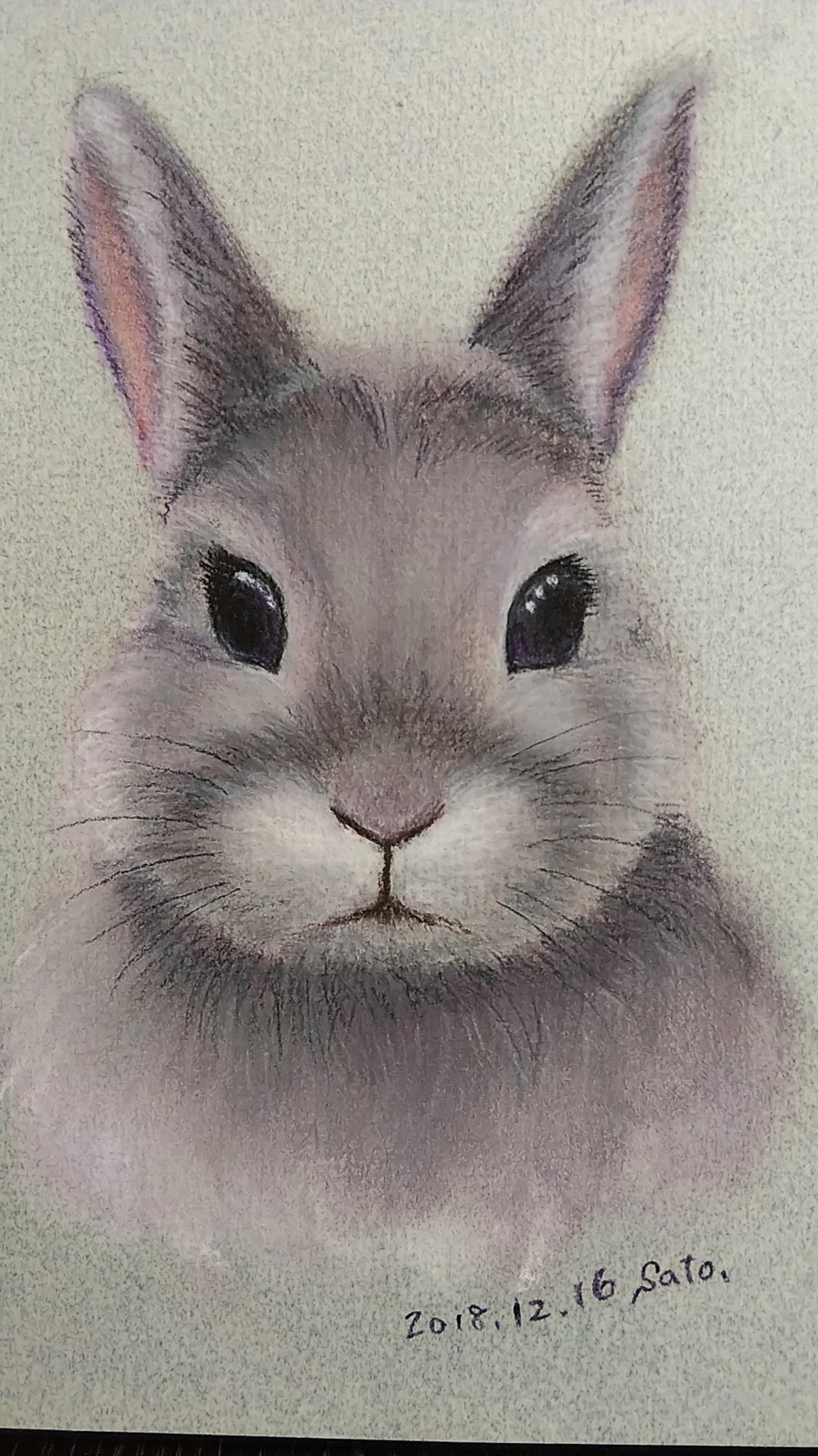 Sato Brave Violet ハードパステル パステルイラスト パステル画 リアルイラスト うさぎ Rabbit T Co Fhiaqkekes Twitter Sato Brave Violet ハードパステル パステルイラスト パステル画 リアルイラスト うさぎ Rabbit T Co Fhiaqkekes Twitter